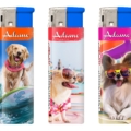 grossiste briquet adamo chien plage